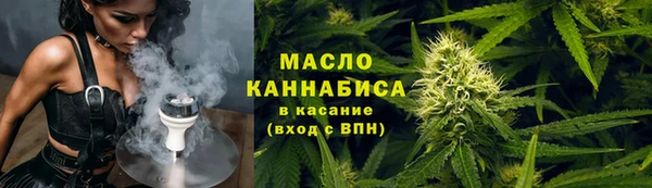 мдпв Дмитриев