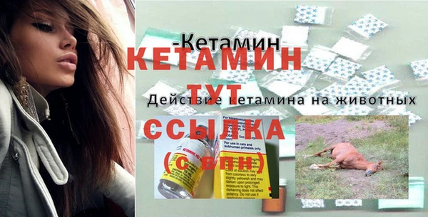 мдпв Дмитриев