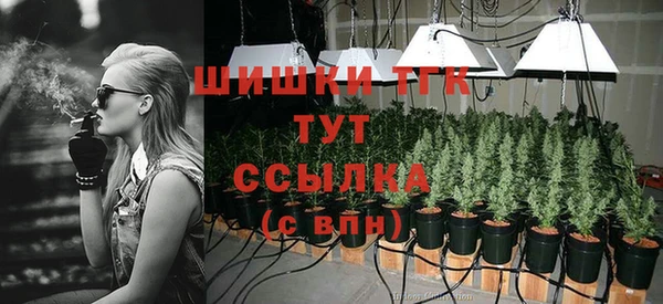PSILOCYBIN Гусь-Хрустальный