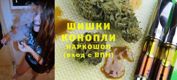 прущие грибы Щигры