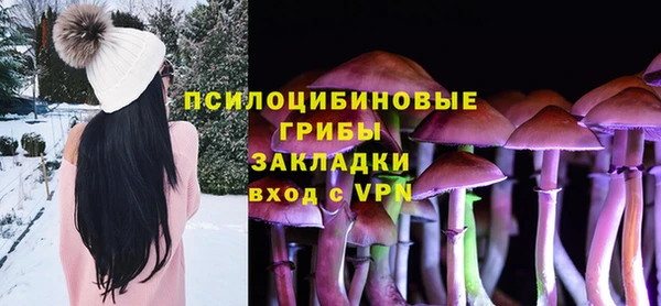 мдпв Дмитриев