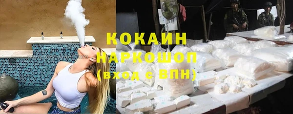 крисы Гусев