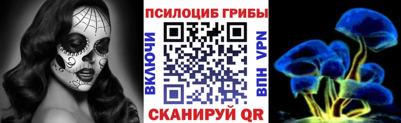 OMG как зайти  Туринск  Галлюциногенные грибы ЛСД 
